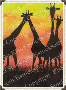 Giraffes at Sunset
Watercolor